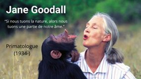 Jane Goodall, Primatologue