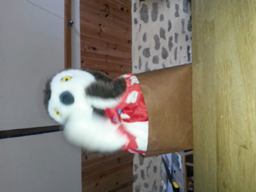 chronique 18 : expressions françaises