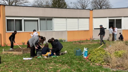 Collège Les Rochers Sévigné et la biodiversité