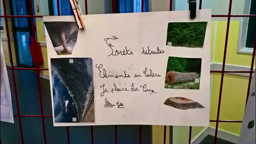 Un haiku pour le climat