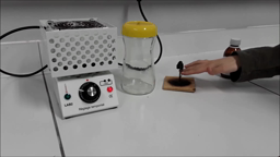 combustion du carbone