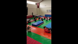 Gymnastique 2024