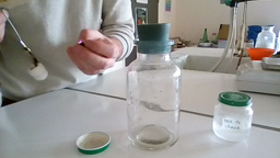 La combustion du Carbone