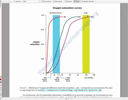duplication génique