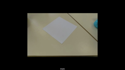 Le chat des rectangles