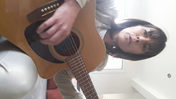 Coccinelle demoiselle