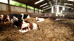 Ferme Bio