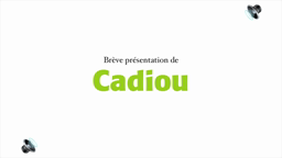 CADIOU Entreprise - 1STMG2 groupe Nora LE BOT - Lycée Ste Thérèse  