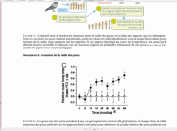 Poux chez le pigeon