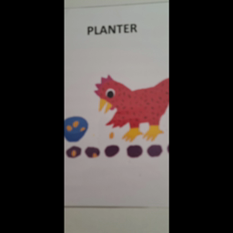 La petite poule rousse groupe des MS