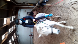 Equitation 