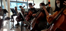 Vidéo CHAM 6e-5e 3