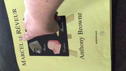 Marcel le rêveur   Anthony Browne