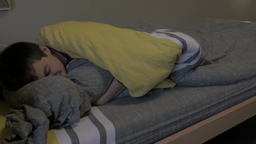 Internat Investigation