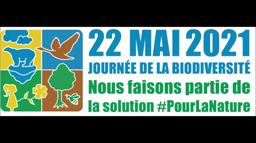Sélection d'ouvrages sur le thème de la protection de l'environnement