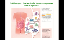 5 Seance 3 La digestion et les microorganismes