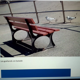 Document Les Gayeulles