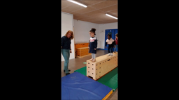 Sauter 3