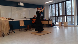 Flamenco 1