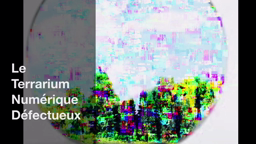 Terrarium- rhuys_ projet TraAM- ac- Rennes