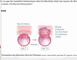 transfert horizontal de gène chez les primates