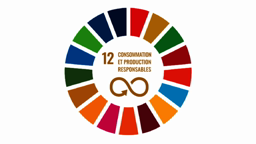 Lycée Cordeliers Dinan - Madagascar - Projet ODD 12