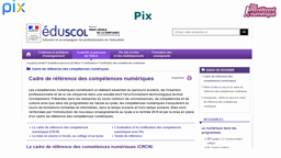 Pixorga