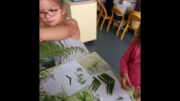 Cyanotype en Maternelle