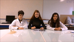 GRS19-BROCELIANDE-NIVEAU MARIN