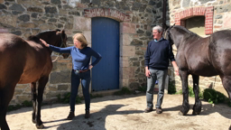 CLEMI Citoyens et Reporters 2019 - CLG La Gautrais Chevaux de Fétas