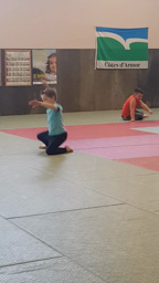 Judo cycle 2