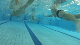 Natation Ecole Kernevel Pt.2