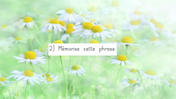 Phrase de la semaine 2