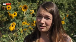Young people sue the US Government over climate change
