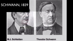 Enseignement scientifique - Th-cellulaire - Schwann