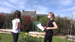 potager et arts plastiques