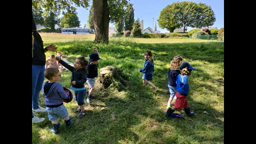 Les photos de juin et juillet