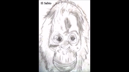 La parôle aux animaux