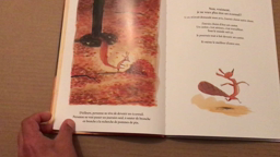Lecture de l'album J'aurais voulu d'Olivier Tallec