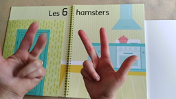 album à calc. 6 hamsters 2