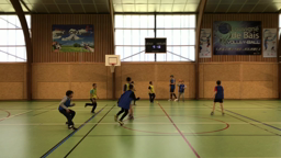 Les bleus contre les jaunes