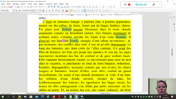 explication de texte (4ème) sur la FESSEE dans l'Assommoir, Zola