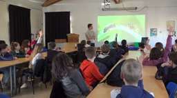 Les 6A et les abeilles
