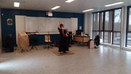 Flamenco 4