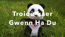 Gwenn ha Du, ur ger bemdez : ar marc'h