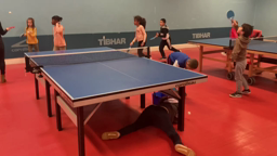 Tennis de table 
