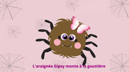 araignée gipsy