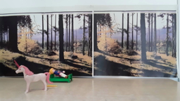 stop motion CP Chêne centenaire