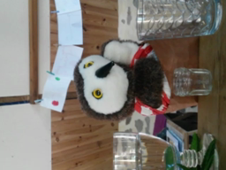 Chronique 33 : expérience : la menthe à l'eau