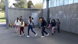 Danses du monde - 2